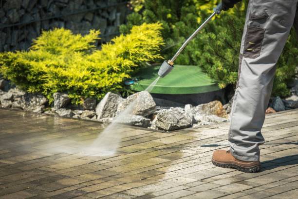 Best Pool Deck Cleaning  in Wells, MN