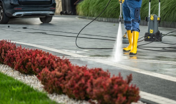 Best Fence Cleaning  in Wells, MN